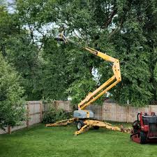 Best Lawn Grading and Leveling  in Carbondale, CO